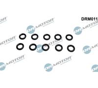 Dr.Motor Automotive DRM011 Anello tenuta, Portainiettore