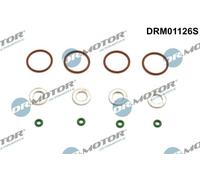 DR.MOTOR AUTOMOTIVE DRM01126S Kit guarnizioni Iniettore per SSANGYONG Tivoli SUV