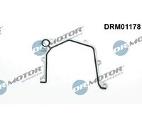 Dr.Motor Automotive DRM01178 Guarnizione, pompa olio per FORD,MAZDA,VOLVO
