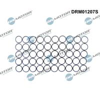 DR.MOTOR AUTOMOTIVE DRM01207S Anello tenuta, Portainiettore