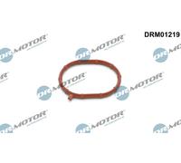 Originale Dr.Motor Automotive Guarnizione Lader DRM01219 Per Audi