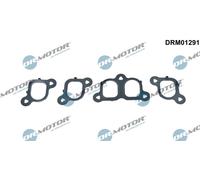 Dr.Motor Automotive DRM01291 Kit guarnizioni, Collettore aspirazione per VW