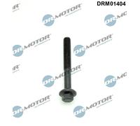 Dr.Motor Automotive DRM01404 Vite, Supporto Iniettore Per DACIA, RENAULT
