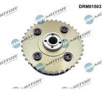 Dr.Motor Automotive Regolatore albero a camme compatibile con BMW DRM01503