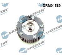 Dr.Motor Automotive DRM01569 Regolatore albero a camme per AUDI,SEAT,SKODA,VW