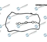 Dr.Motor Automotive DRM01744 Guarnizione, Copritestata per DACIA,NISSAN,RENAULT,