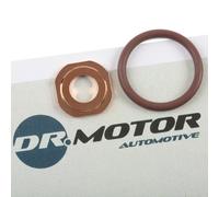 DR.MOTOR AUTOMOTIVE DRM018 Kit guarnizioni, Iniettore
