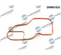 Dr.Motor Automotive DRM01825 Guarnizione, Alloggiam. termostato per DACIA,MERCED