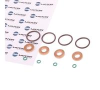 DR.MOTOR AUTOMOTIVE Anello tenuta, Portainiettore