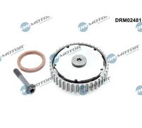 Dr.Motor Automotive DRM02481 Regolatore albero a camme per FORD,VOLVO