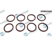 DR.MOTOR AUTOMOTIVE Kit anelli tenuta Iniettore DRM0254S per OPEL ZAFIRA B (A05)