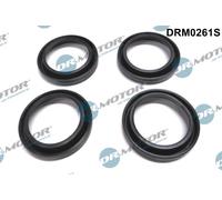 Dr.Motor Automotive DRM0261S Guarnizione, Portapolverizzatore per MAZDA