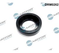 Dr.Motor Automotive DRM0262 Guarnizione, Supporto Iniettore Per MAZDA