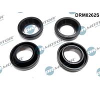Dr. Motor Automotive DRM0262S Guarnizione, Supporto Iniettore Per MAZDA