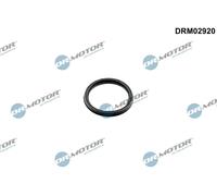 Dr.Motor Automotive DRM02920 Anello tenuta, Compressore per DACIA,RENAULT