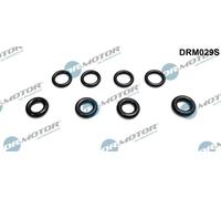 DR.MOTOR AUTOMOTIVE Kit anelli tenuta Iniettore DRM029S per FIAT Ulysse (179)