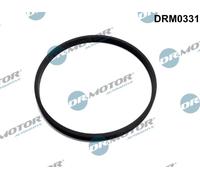 Dr.Motor Automotive DRM0331 Guarnizione, manicotto della valvola a farfalla per