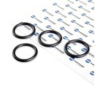 DR.MOTOR AUTOMOTIVE DRM0343S Kit guarnizioni Radiatore olio
