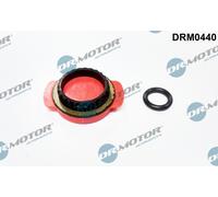 Dr.Motor Automotive DRM0440 Guarnizione, pompa olio per ALFA ROMEO,CHEVROLET,CHR