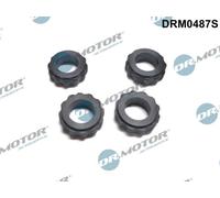 Dr. Motor Automotive Guarnizione Supporto Ugelli Inferiore per Mazda Premacy 1.9