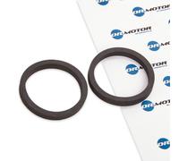 DR.MOTOR AUTOMOTIVE DRM0561 Guarnizione, Radiatore olio