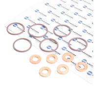 DR.MOTOR AUTOMOTIVE DRM056S Kit guarnizioni, Iniettore