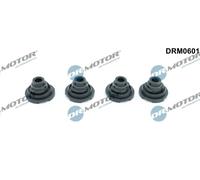 DR.MOTOR AUTOMOTIVE DRM0601 Guarnizione Copritestata per OPEL Movano Bus (X70)