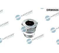 Dr.Motor Automotive DRM0606 Flessibile idraulica, Sterzo per FORD