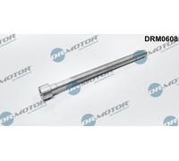 Dr.Motor Automotive DRM0608 Vite, Supporto Iniettore per AUDI, SEAT, SKODA