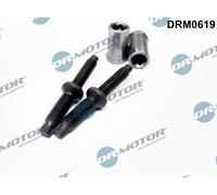 Dr.Motor Automotive DRM0619 Bullone, Supporto iniettore per CITROËN,FORD,PEUGEOT
