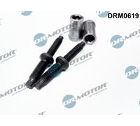 Dr. Motor Automotive DRM0619 Vite, Portainiettore Per CITROËN, FORD