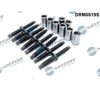 Dr.Motor Automotive DRM0619S Bullone, Supporto iniettore per CITROËN,FORD,PEUGEO
