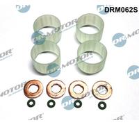 Dr.Motor Automotive DRM062S Kit guarnizioni, Iniettore per CITROËN,DS,PEUGEOT