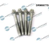 Dr.Motor Automotive Bullone, Supporto iniettore compatibile con CITROËN FORD