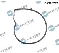 Dr.Motor Automotive DRM0725 Guarnizione, Pompa acqua per BMW,CITROËN,DS,MINI,OPE