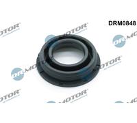 Dr. Motor Automotive DRM0848 Guarnizioni, Iniettore Supporto per Audi, Seat,
