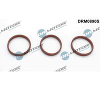 Kit guarnizioni collettore di aspirazione DRM0890S Dr.Motor Automotive per DS