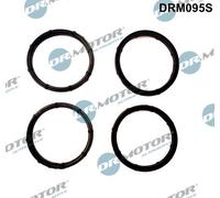 Dr.Motor Automotive DRM095S Kit guarnizioni, Collettore aspirazione per NISSAN,O