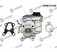 Dr.Motor Automotive DRM131102 Valvola EGR per SUBARU