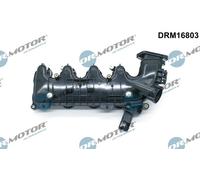 Dr.Motor Automotive DRM16803 Modulo collettore aspirazione per CITROËN,FIAT,PEUG