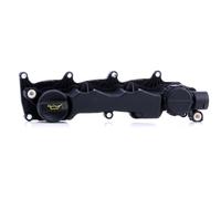 DR.MOTOR AUTOMOTIVE DRM16904 Coperchio punterie per FORD C-MAX (DM2) FUSION (JU)