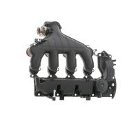 DR.MOTOR AUTOMOTIVE DRM16911 Collettore di aspirazione per FORD C-MAX (DM2)