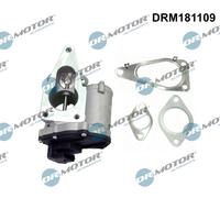 Dr.Motor Automotive DRM181109 Valvola EGR per RENAULT
