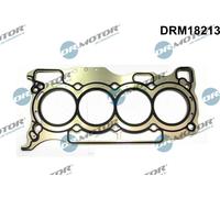 Dr.Motor Automotive DRM18213 Guarnizione, Testata per RENAULT
