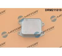 DR.MOTOR AUTOMOTIVE DRM211019 Radiatore olio motore