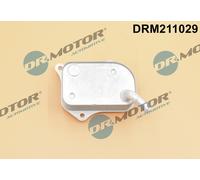 DR.MOTOR AUTOMOTIVE DRM211029 Radiatore olio motore per VW PASSAT (3B3)