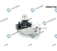 Dr.Motor Automotive DRM21106 Valvola EGR per BMW,MINI,TOYOTA