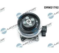 DR.MOTOR AUTOMOTIVE DRM21702 Pompa acqua per VW Polo Schrägheck (6R1, 6C1)