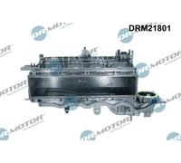 Dr.Motor Automotive DRM21801 Modulo collettore aspirazione per AUDI,SEAT,SKODA,V