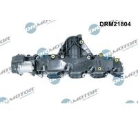 DR.MOTOR AUTOMOTIVE DRM21804 Collettore di aspirazione per VW GOLF VI (5K1)